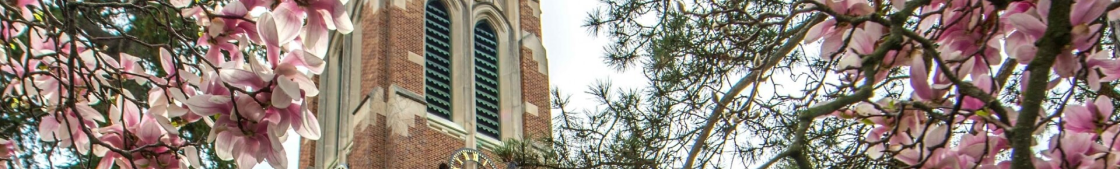 Undergraduate Learning Assistant banner